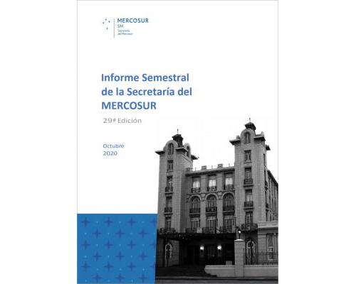 29ª Edición del Informe Semestral – Primer semestre 2020